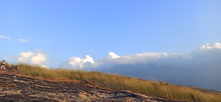 beauty of nature