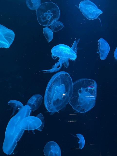 underwater, Science duvar kağıtları