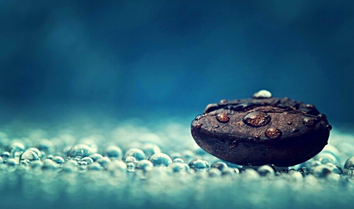 Rain Drops