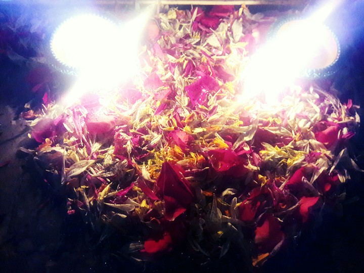 Happy Diwali to All my friends.