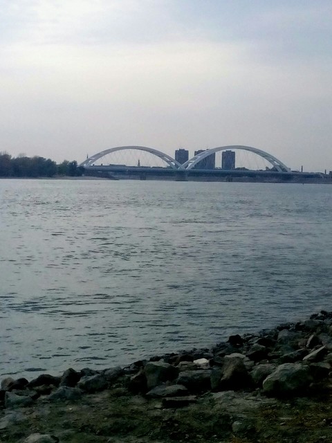 dunav