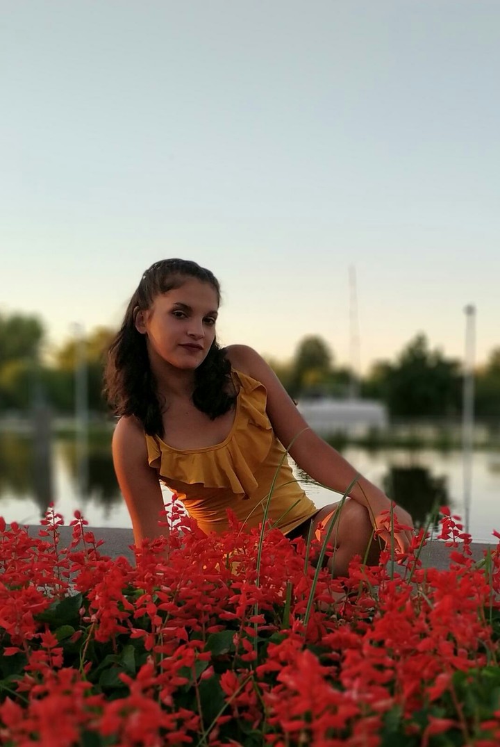 mis 15