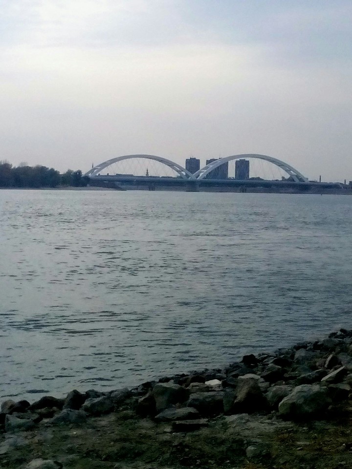 dunav