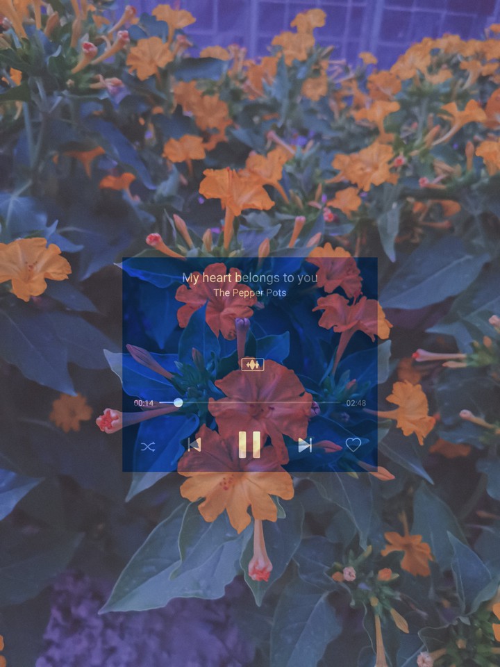 Music