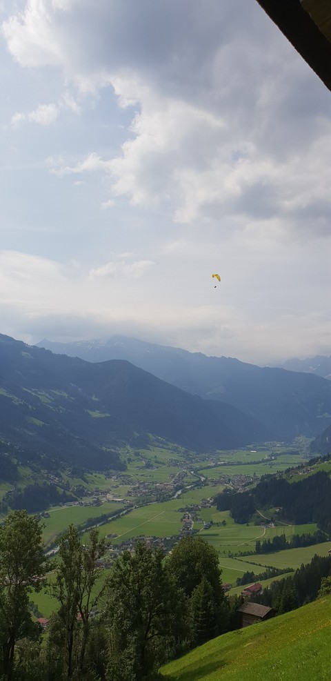Wunderschöne Freiheit