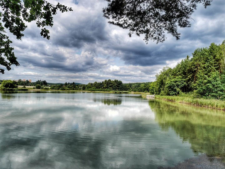 Lake in the forest