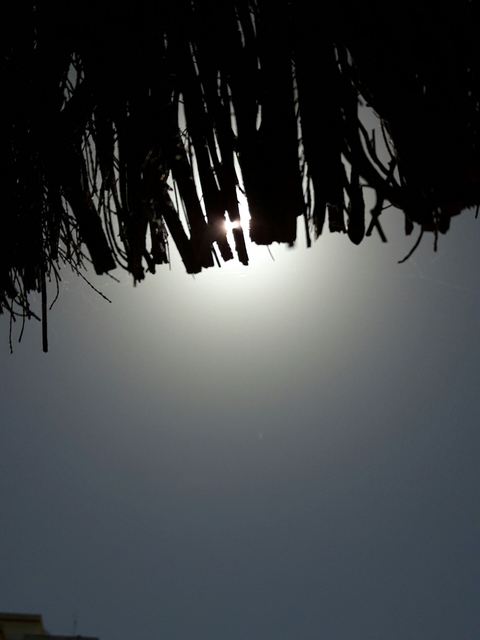 sfondi cielo, pasto