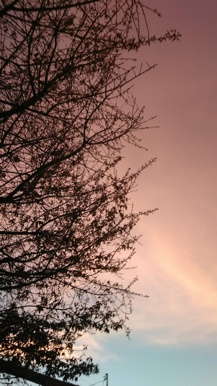Aquí y ahora