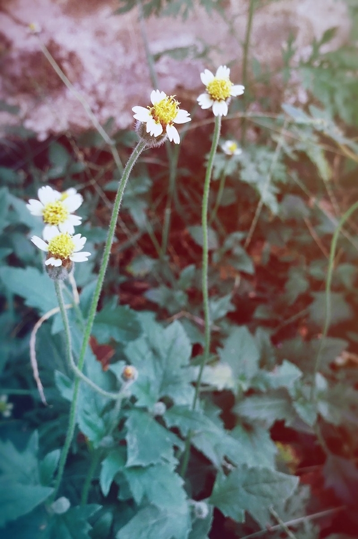 nature love
