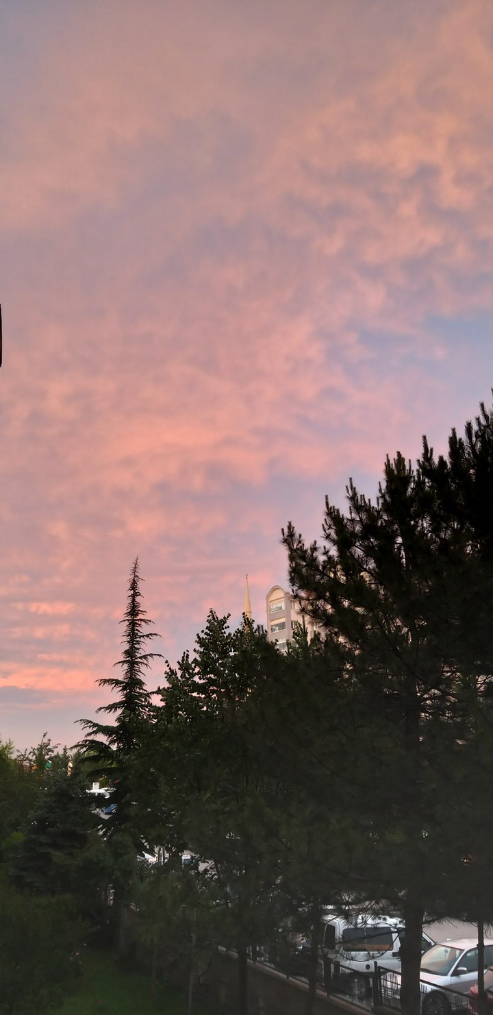 Red Sky