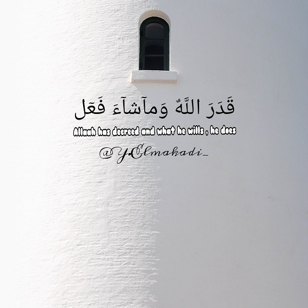 ما شاء الله.