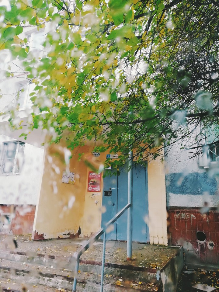 осень4