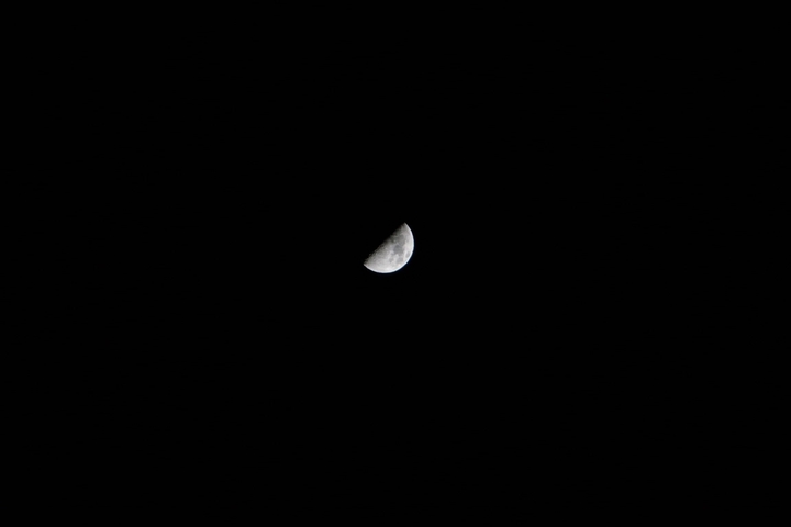 moon moon moon