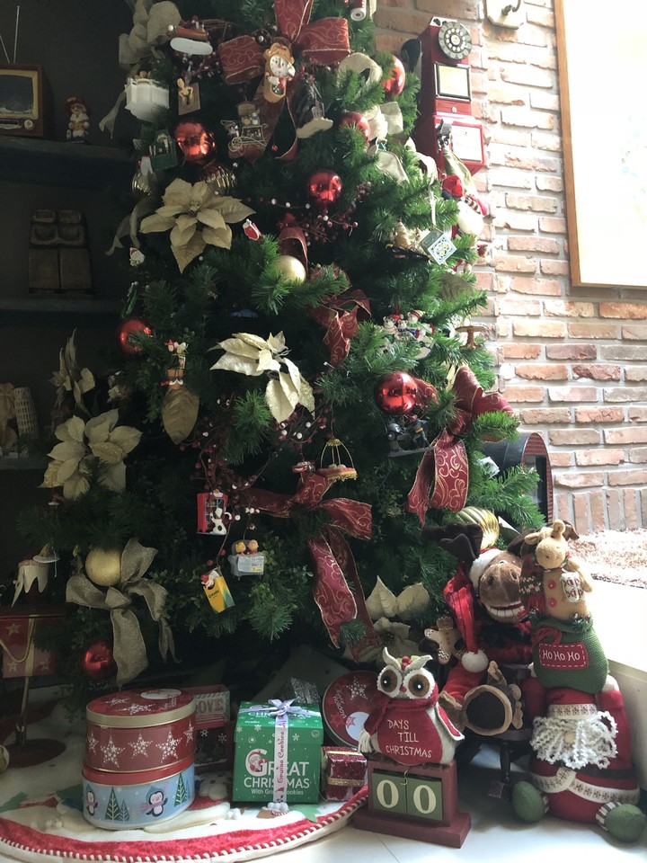 Under the Christmas Tree