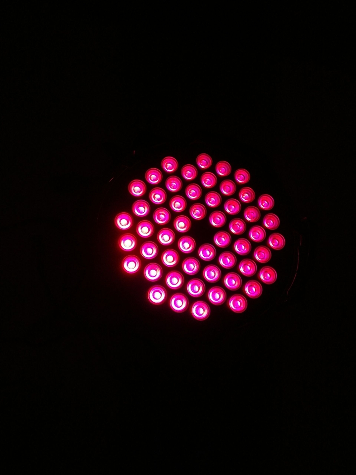 shotononeplus