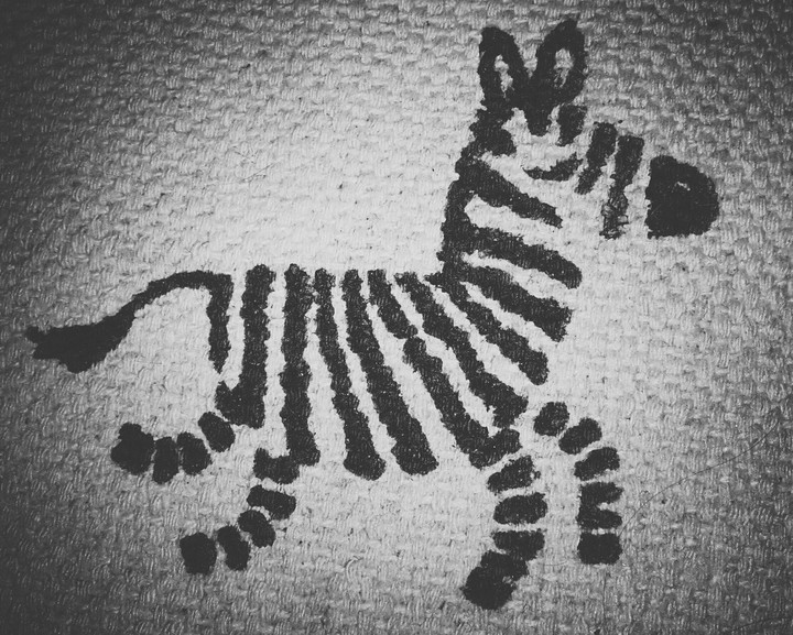 Little Zebra