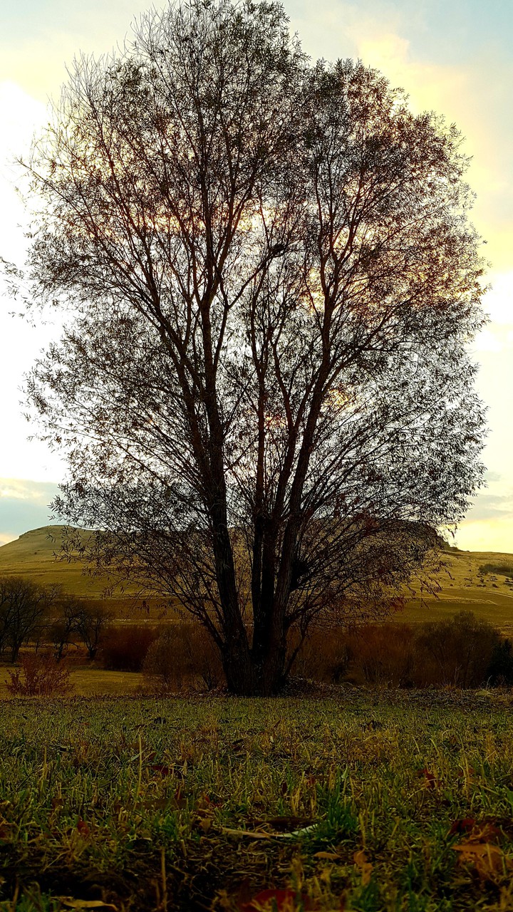 autumn