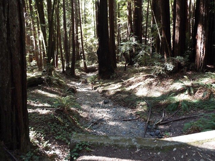 dry stream