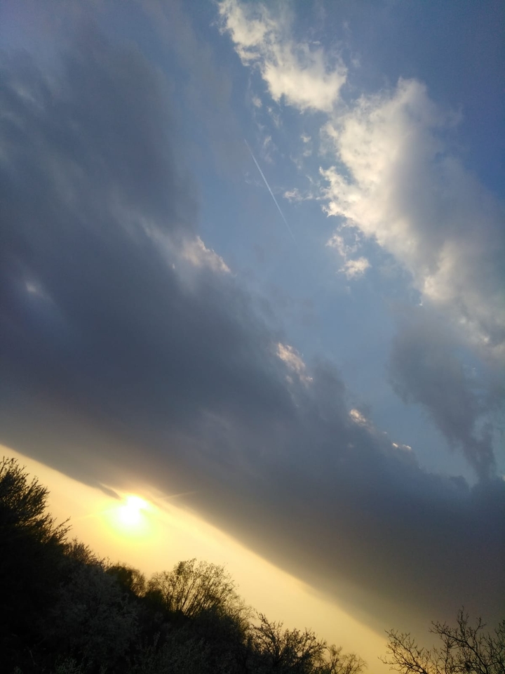 #bluesky #forest #sunset #spring