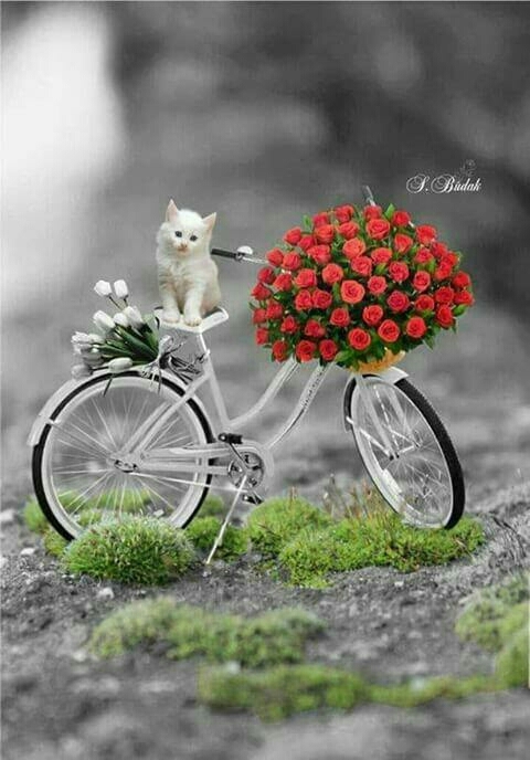 HI MY OLD N NEW FRIEND'S HOW ARE YOU????