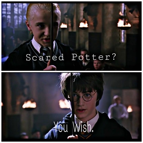 •Scared Potter? •You Wish.
