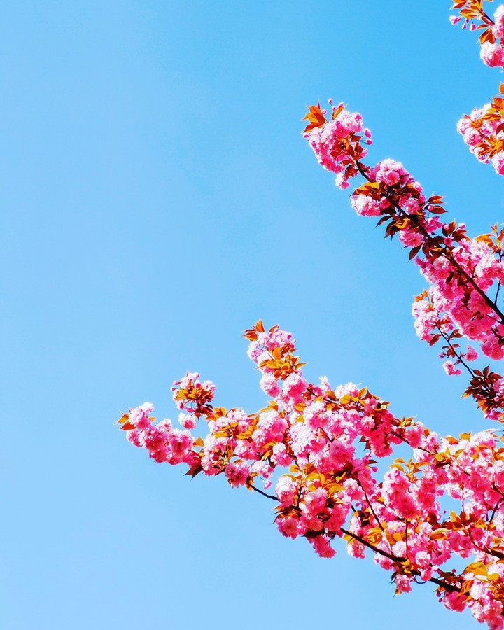 Spring