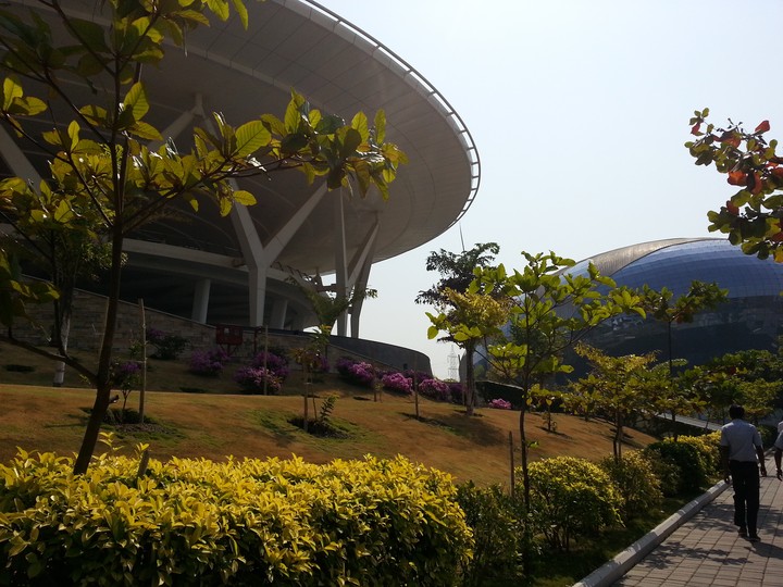 Scenic building