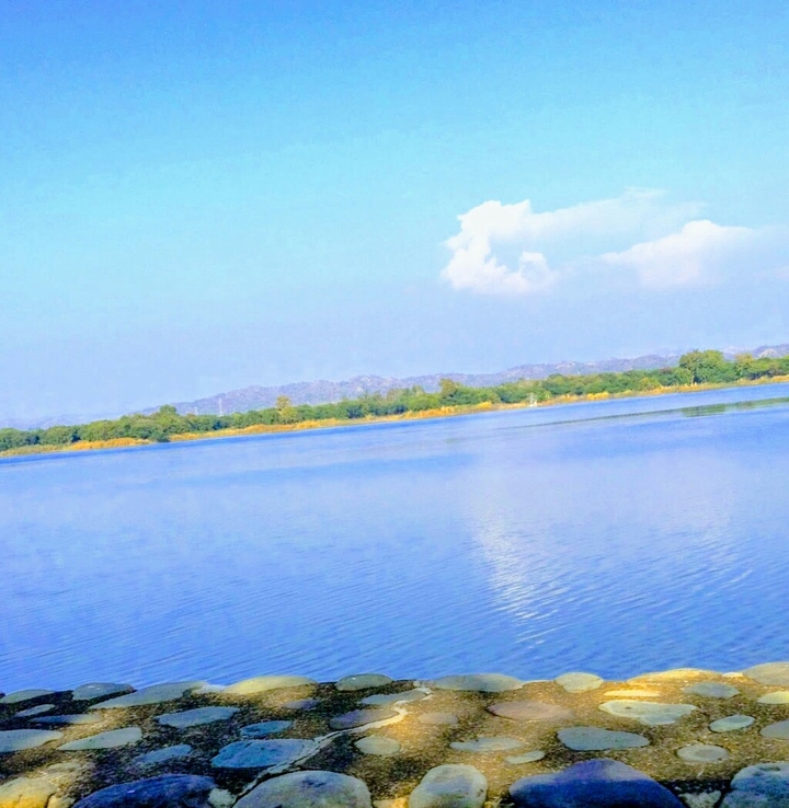 A morning on the lakeside