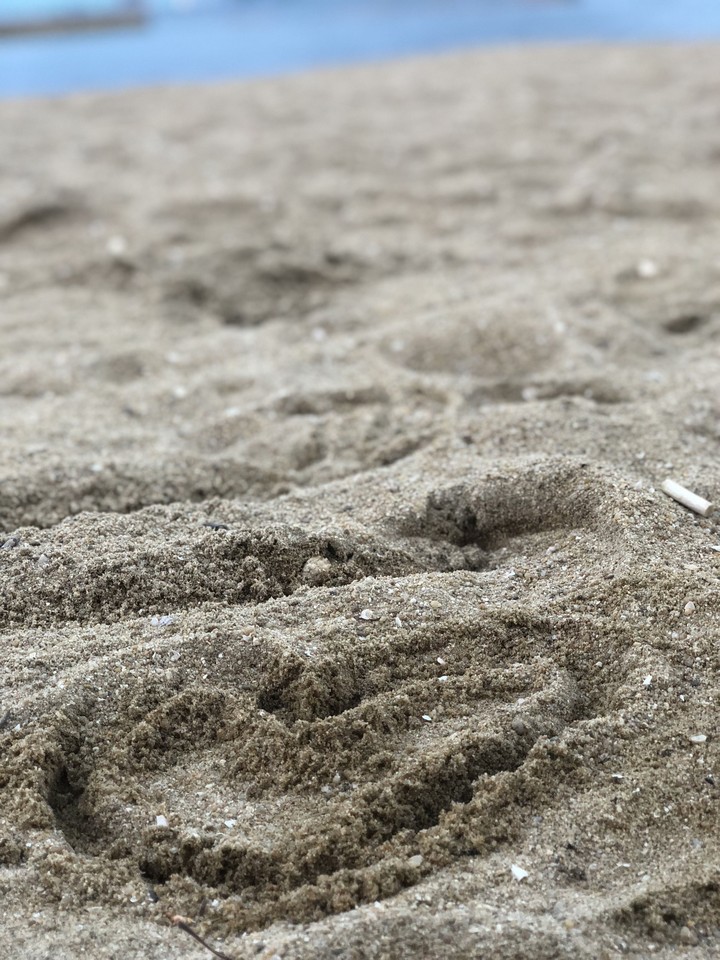 beach_heart