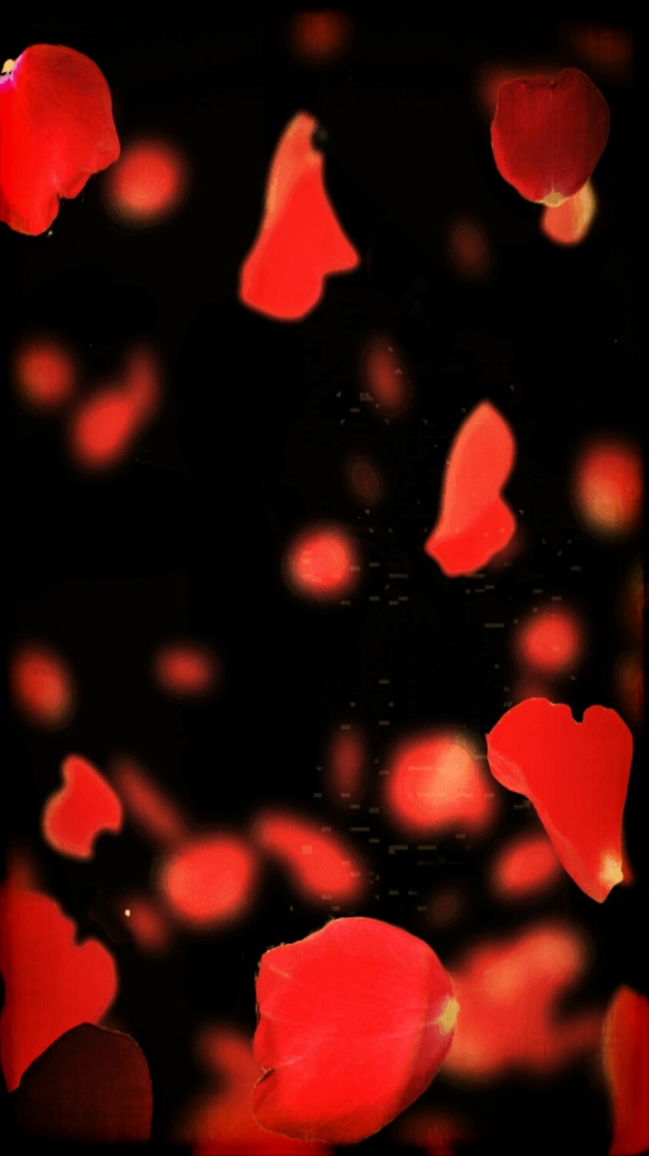 Rosenblätter
