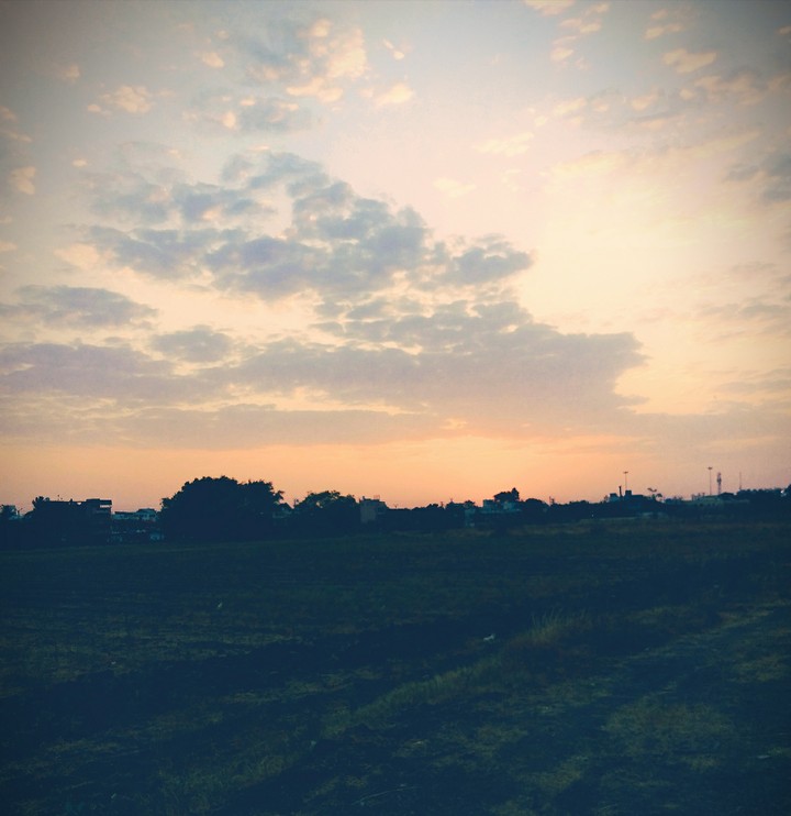 Nature