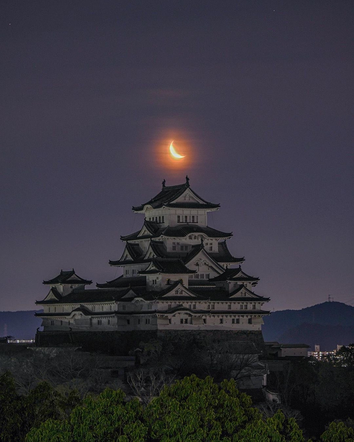 Lovely Japan