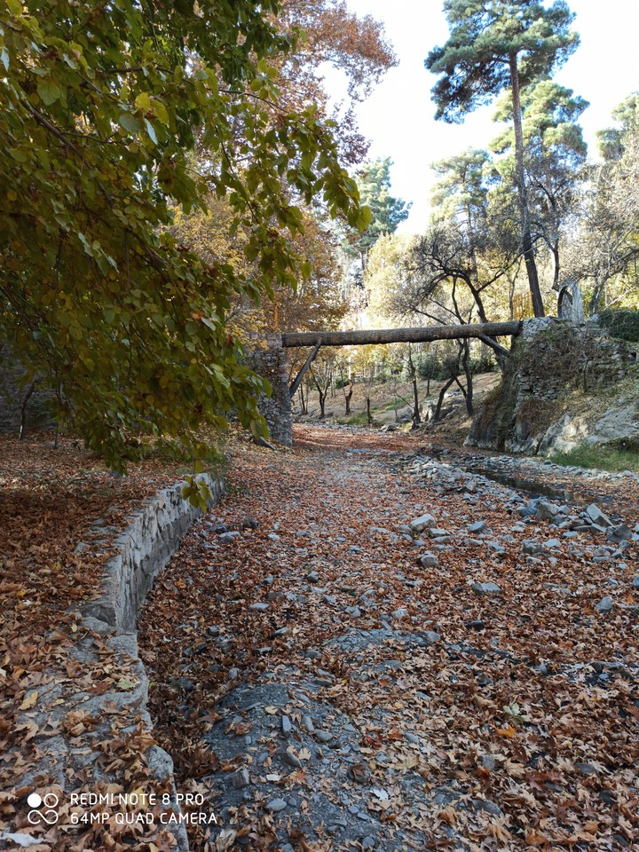 #fall
