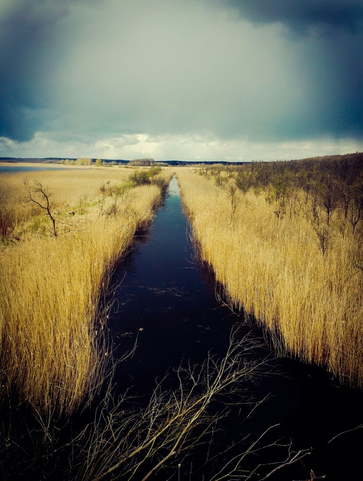 the way