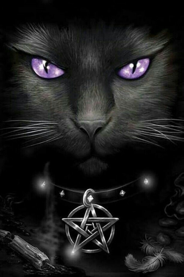 King of cats