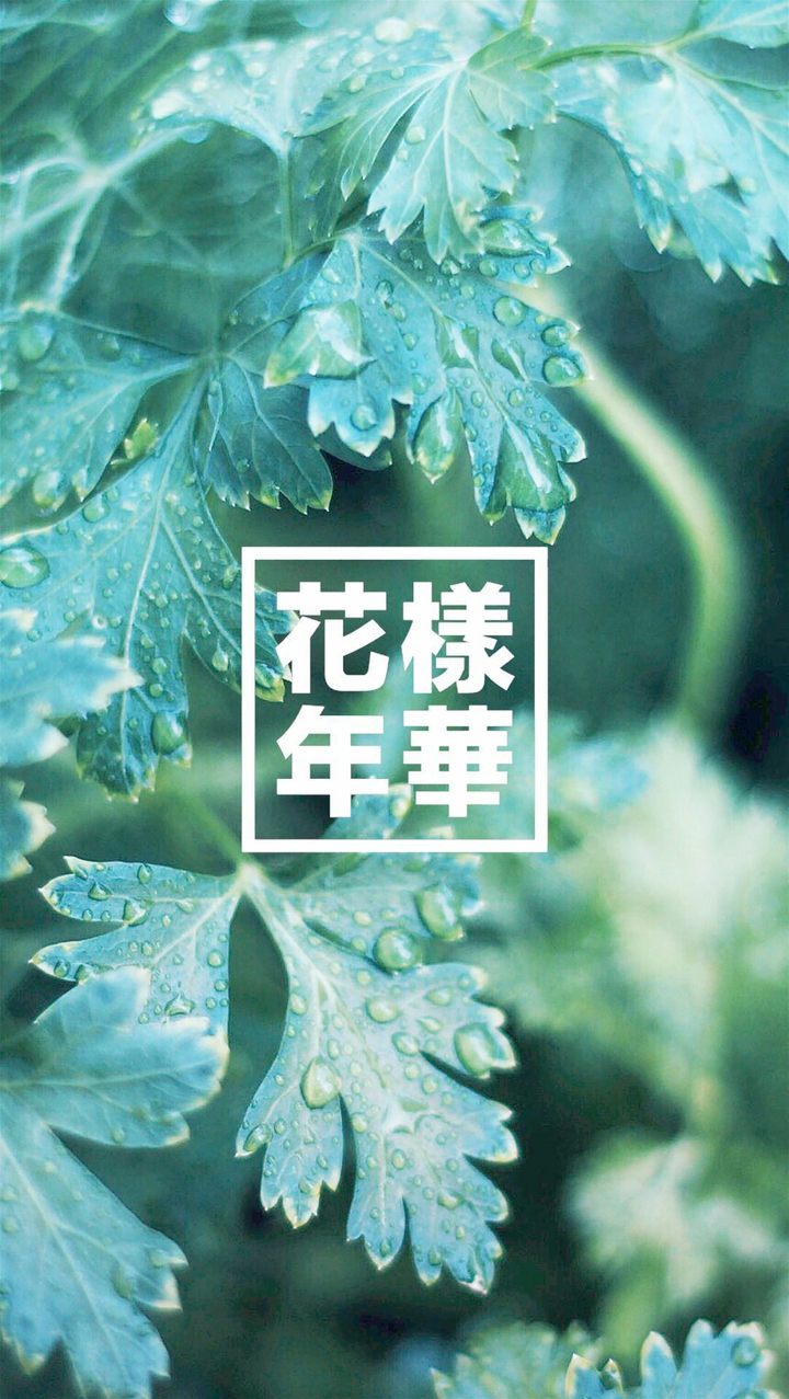 BTS❤HYYH