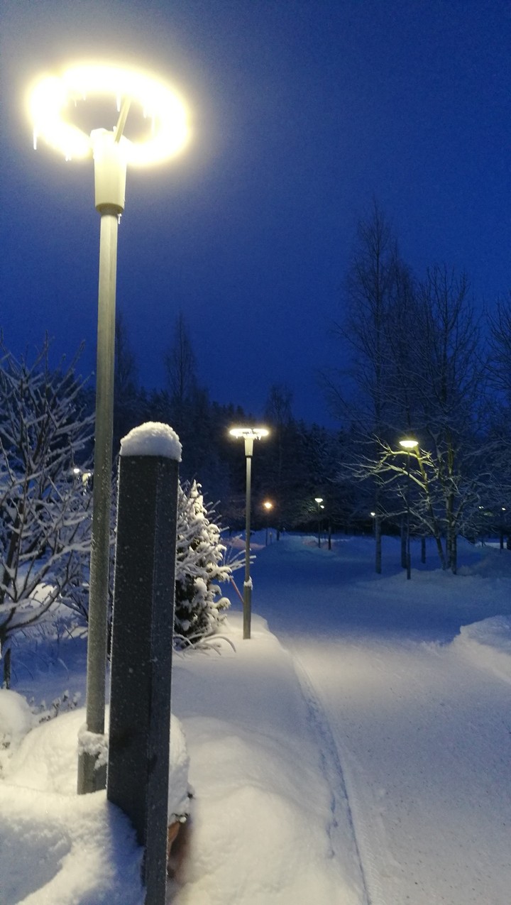 Lights in the snow