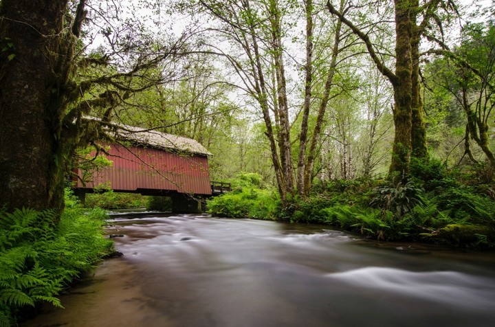 stream