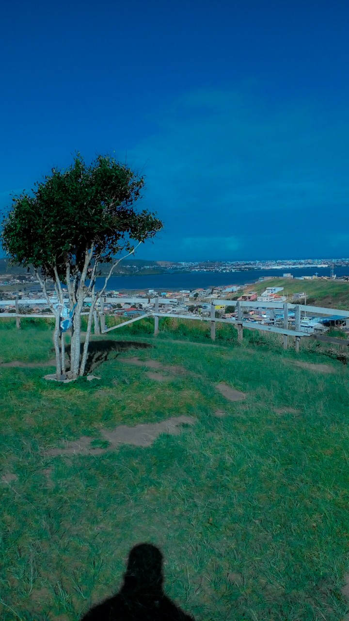 Paisagem