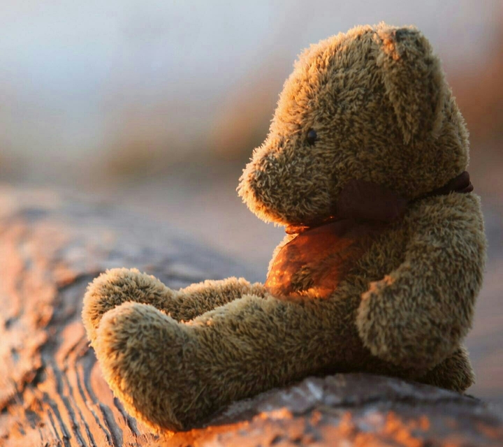 Teady Bear