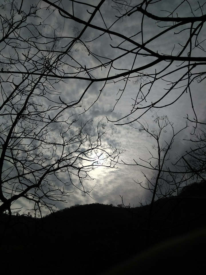 Adopt the pace of nature.. her secret is patience.