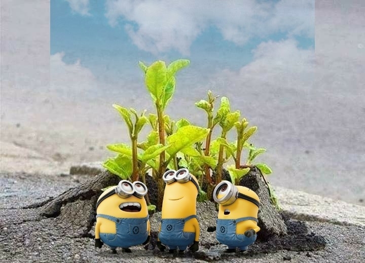 friends