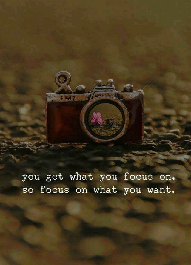 Focus