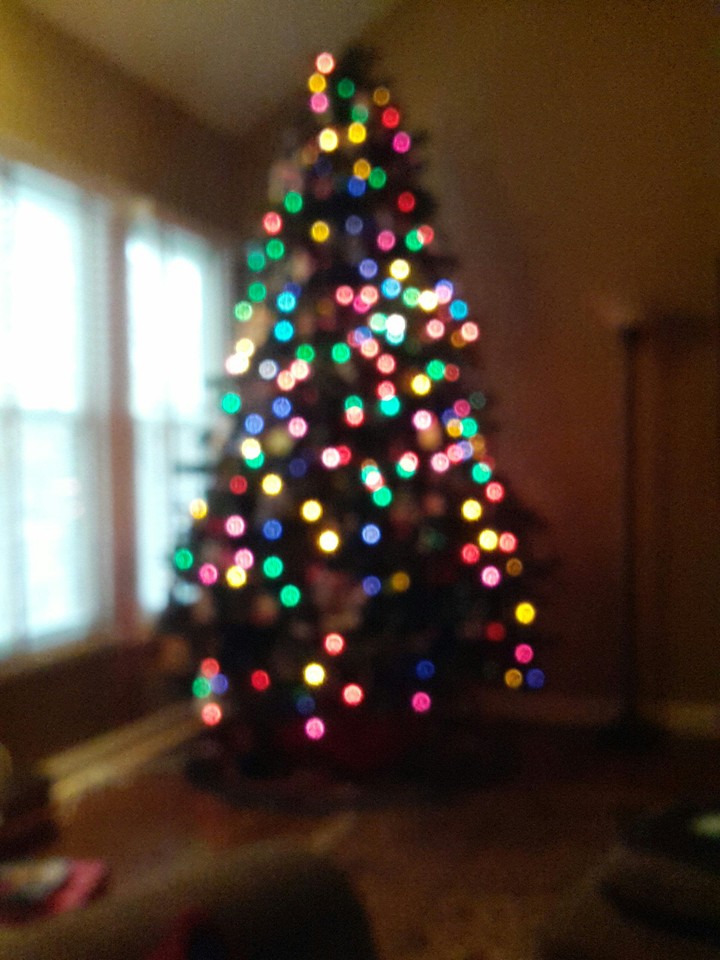 Christmas Tree Lights