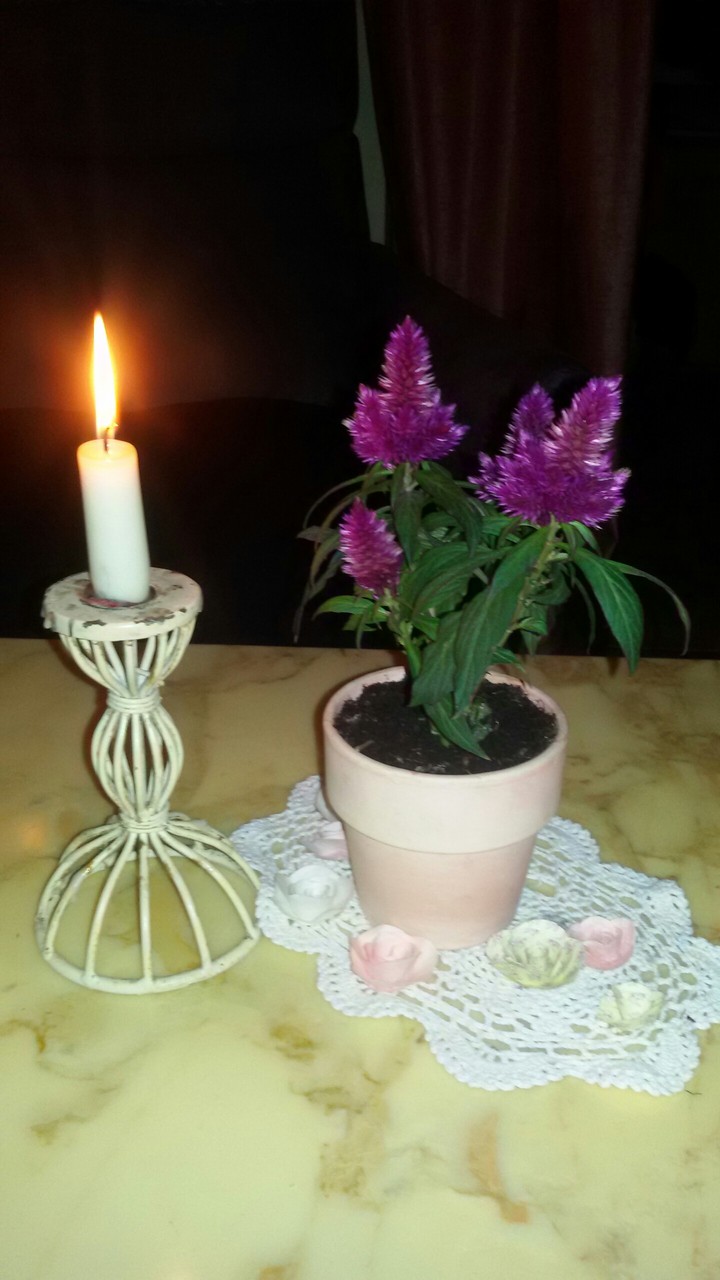 Blume mit Kerze