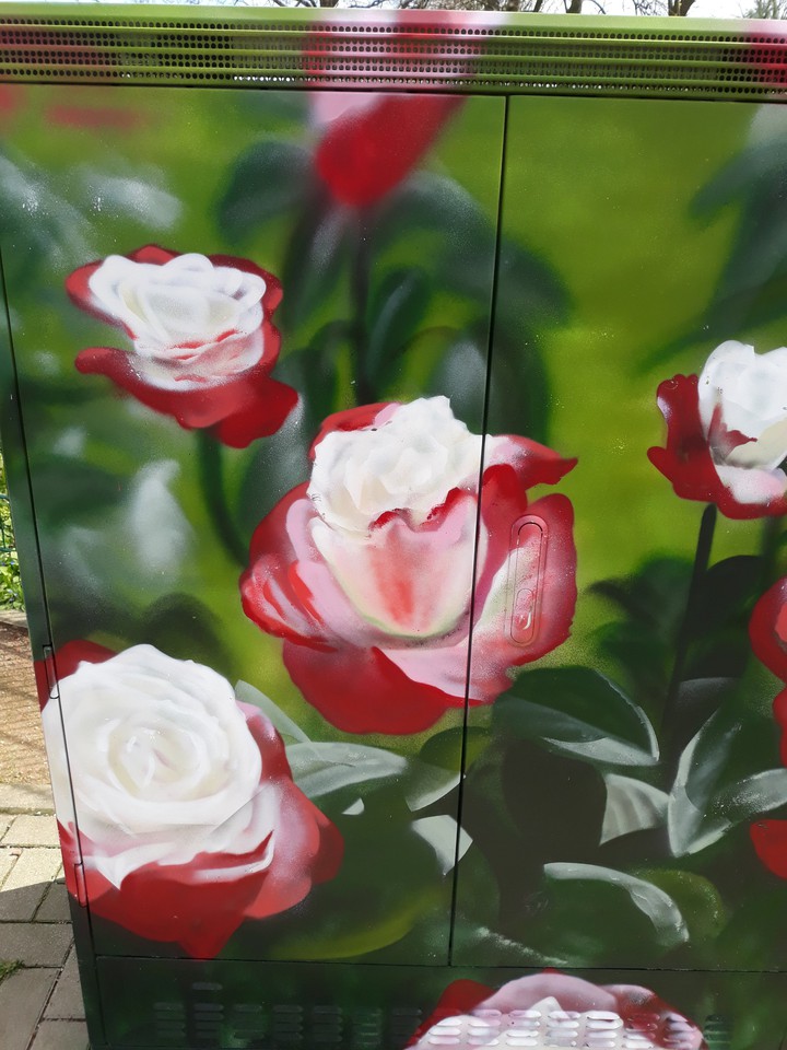 Rosen
