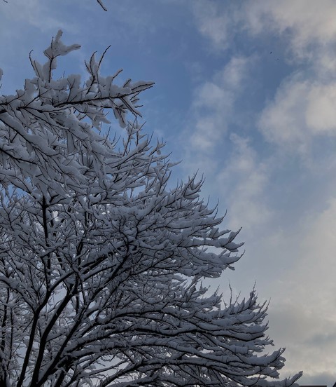 sky, freezing Hintergrundbilder