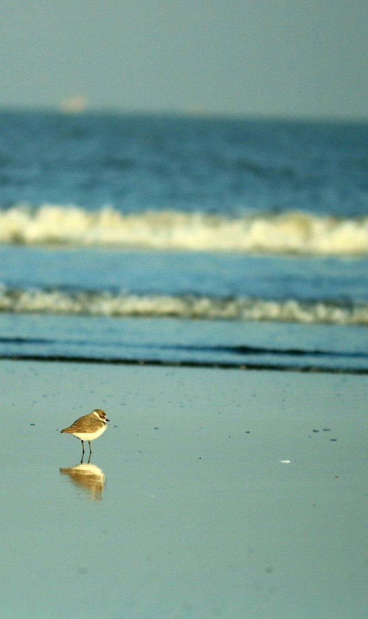 all alone