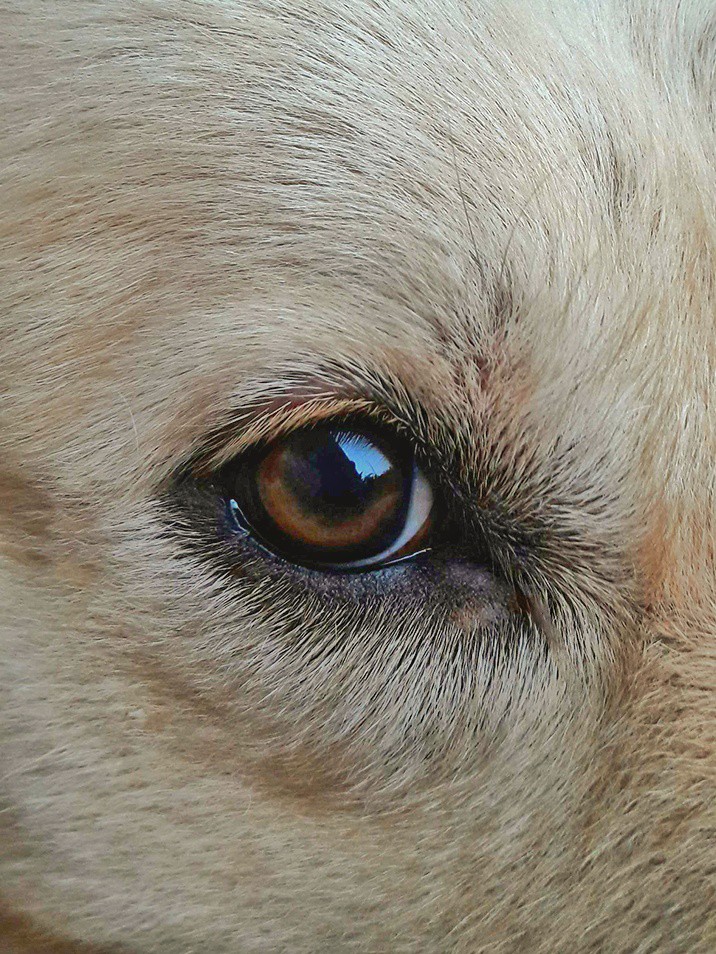 Look of love