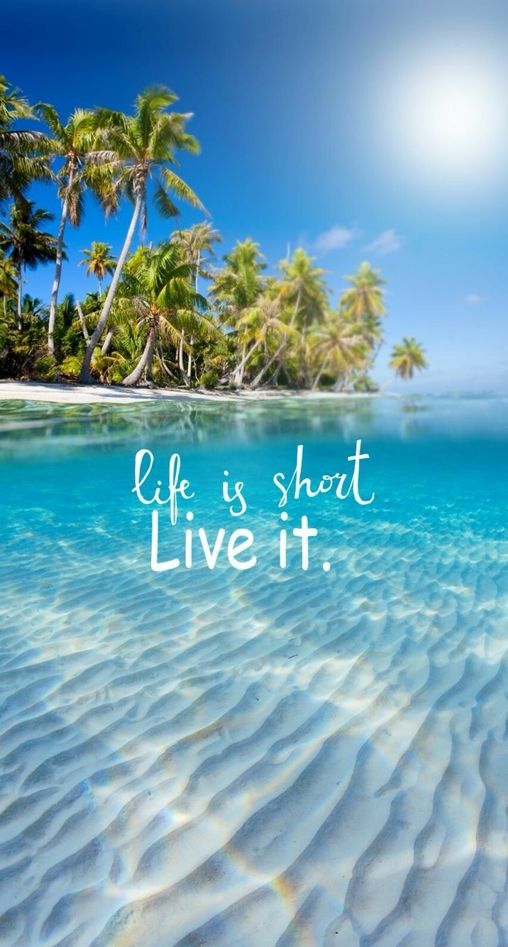 lifevis short . live it